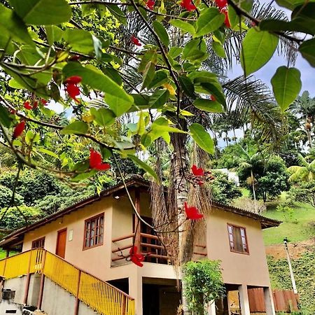Hotel Sitio Dos Palmitos - Casa Pupunha à Pedra Azul  Extérieur photo